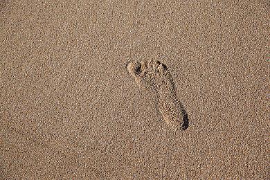 PS经典动作游戏《我是东巴》将移植现代平台